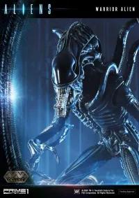 Prime 1 Studio Premium Masterline Aliens (Comics) Warrior Alien DX Bonus Version - Alien (Movie Franchise) - photo 53