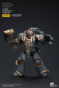 JOYTOY Space Wolves Grey Slayer Pack Grey Slayer2 - Warhammer 40K - photo 8