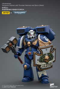 Ultramarines Vanguard Veteran with Thunder Hammer and Storm Shield 5