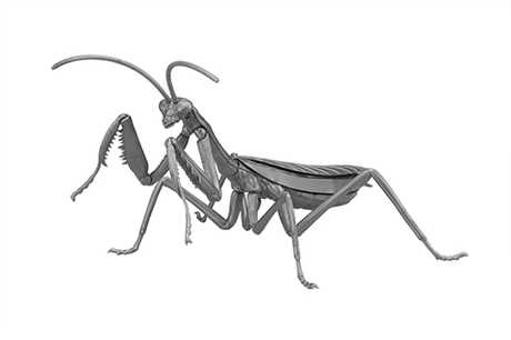 [FI No.23 EX-4]  Biology Edition Big Mantis(Metallic silver)