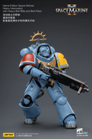 Game Edition Space Wolves Heavy Intercessor with Heavy Bolt Rifle and Bolt Pistol 17