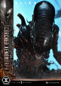 Museum Masterline XL Alien: Romulus Scorched Xenomorph Deluxe Bonus Version 51