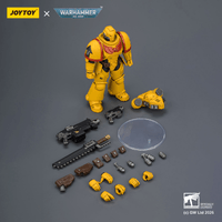 Imperial Fists Intercessor with Bolt Rifle, Bolt Pistol and Chainsword 6