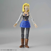 Figure-rise Standard ANDROID No. 18 (Renewal Version) 7