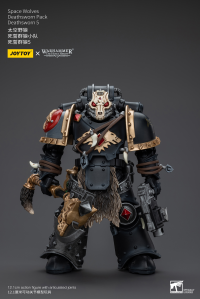 Space Wolves Deathsworn Pack Deathsworn 5 1