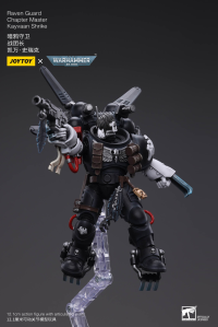 Raven Guard Chapter Master Kayvaan Shrike 7