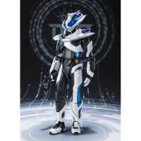 S.H.Figuarts KAMEN RIDER ZIIN 6