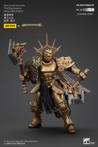 Stormcast Eternals The Blacktalons Neave Blacktalon 7
