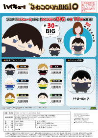 Haikyu!! FUWA KORORIN BIG 10 (Item F) 3