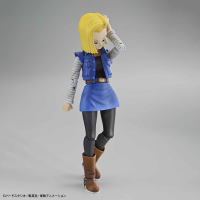 Figure-rise Standard ANDROID No. 18 (Renewal Version) 2