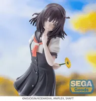 SEGA XStellar "Monogatari Series" -Nadeko Sengoku- - Monogatari Series - photo 4