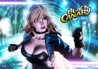 Museum Masterline DC Comics Black Canary 29