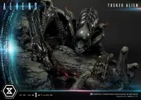 Prime 1 Studio Premium Masterline Aliens (Comics) Tusked Alien Bonus Version - Alien (Movie Franchise) - photo 25