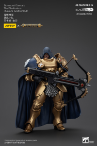 Stormcast Eternals The Blacktalons Shakana Goldenblade 6