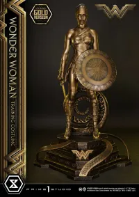 Prime 1 Studio Museum Masterline Wonder Woman (Film) Wonder Woman Training Costume Gold Version - DC Comics - photo 9