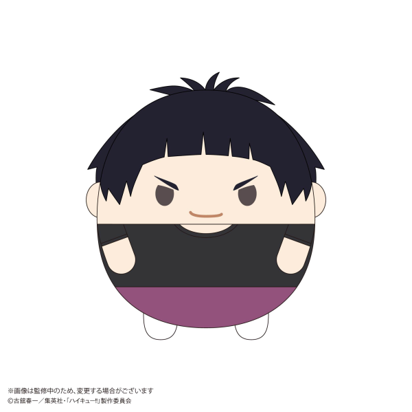 Haikyu!! FUWA KORORIN Msize 9  (ITEM F)