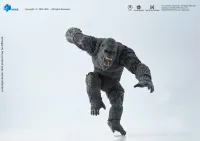 HIYA TOYS Exquisite Basic Series GODXILLA x KONG THE NEW EMPIRE Kong - Godzilla - photo 16