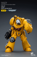 Imperial Fists Terminator 2 with Power Fist and Storm Bolter 2