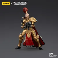 JOYTOY Sisters of Silence White Falcons Vigilator Cadre Vigilator 1 - Warhammer 40K - photo 15