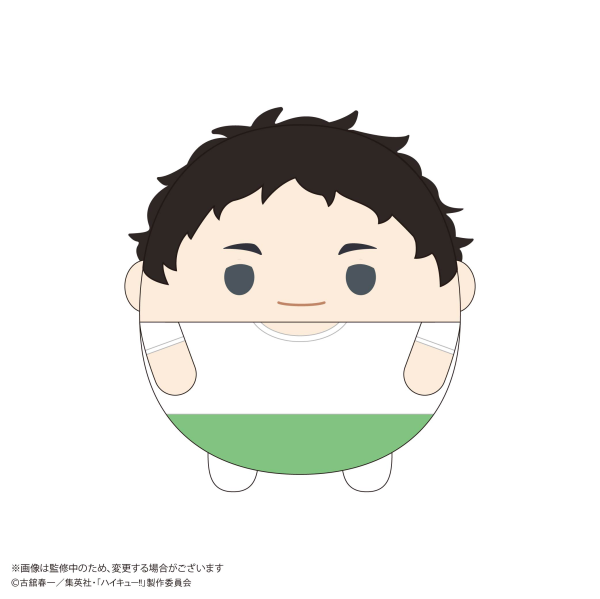 Haikyu!! FUWA KORORIN Ｍsize 10 (Item F)