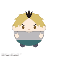 Haikyu!! FUWA KORORIN BIG 9  (ITEM E) 1