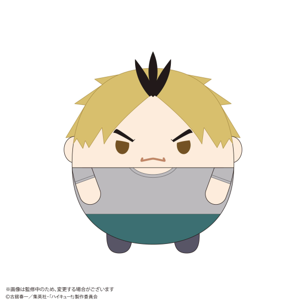Haikyu!! FUWA KORORIN BIG 9  (ITEM E)