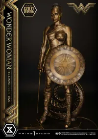Prime 1 Studio Museum Masterline Wonder Woman (Film) Wonder Woman Training Costume Gold Version - DC Comics - photo 3