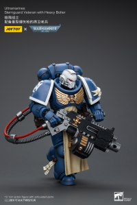 Ultramarines Sternguard Veteran with Heavy Bolter 2