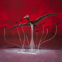TAMASHII NATIONS Rodan (2021) -The second form- Godzilla S.P<Singular Point>, Bandai Spirits S.H.MonsterArts - Godzilla - photo 1