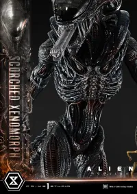 Prime 1 Studio Museum Masterline XL Alien: Romulus Scorched Xenomorph Deluxe Version - Alien (Movie Franchise) - photo 80