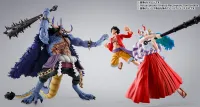 TAMASHII NATIONS KAIDOU King of the Beasts (Man-Beast form) - ONE PIECE - photo 10