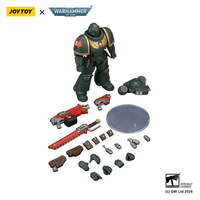 Dark Angels Intercessor with Bolt Rifle, Bolt Pistol and Chainsword 12