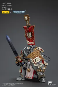 JOYTOY Grey Knights Kaldor Draigo - Warhammer 40K - photo 11