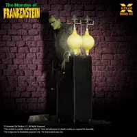 X-PLUS 1/8 Scale The Monster of Frankenstein Plastic Model Kit - Character Kits - photo 10