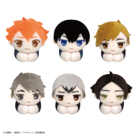 Haikyu!! HUG CHARACTER COLLECTION 7