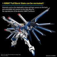 HG 1/144 RISING FREEDOM GUNDAM 5