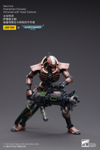 Necrons Szarekhan Dynasty lmmortal with Tesla Carbine [2PCS] 6