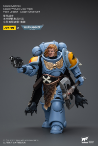 Space Marines Space Wolves Claw Pack Pack Leader -Logan Ghostwolf 8