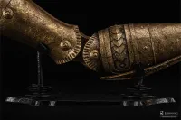 PureArts Elden Ring: Arm Of Malenia Life-Size Replica - Elden Ring - photo 24