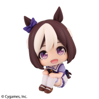 Lookup Uma Musume Pretty Derby Special Week 6