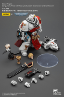 Blood Angels Sanguinary Priest with Heavy bolt pistol, chainsword and narthecium 4