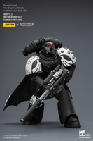 Raven Guard Mor Deythan Shade with Nemesis bolt rifle 21
