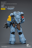 Space Wolves Intercessor with Bolt Rifle, Bolt Pistol and Chainsword 19