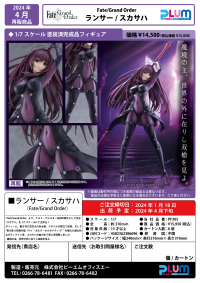 Lancer/Scathach (5th-run) 10