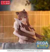 SEGA Thermae Utopia "Spice and Wolf: MERCHANT MEETS THE WISE WOLF" "Holo" - Spice and Wolf - photo 3