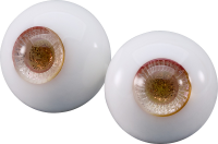 Glass Eye Series: Autumn (Mushroom) 2