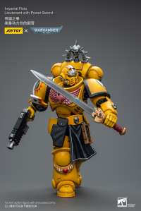 Imperial Fists Lieutenant with Power Sword 3