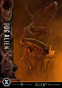 Prime 1 Studio Museum Masterline XL Alien 3 (Film) Dog Alien			 - Alien (Movie Franchise) - photo 55