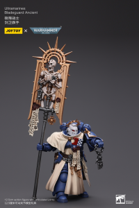 Ultramarines Bladeguard Ancient 5
