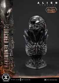 Prime 1 Studio Museum Masterline XL Alien: Romulus Scorched Xenomorph Deluxe Bonus Version - Alien (Movie Franchise) - photo 8